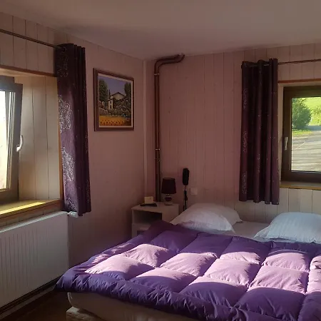 Otel Le Bouton D'or Lapoutroie