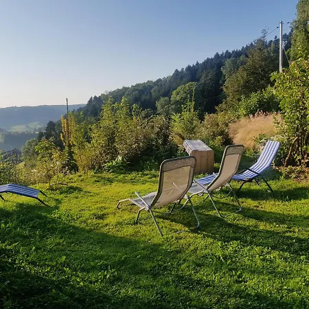 Le Bouton D'or Hotel Lapoutroie