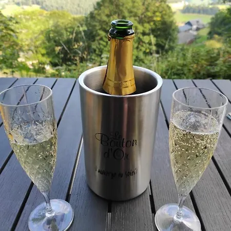 Hotel Le Bouton D'or 2*