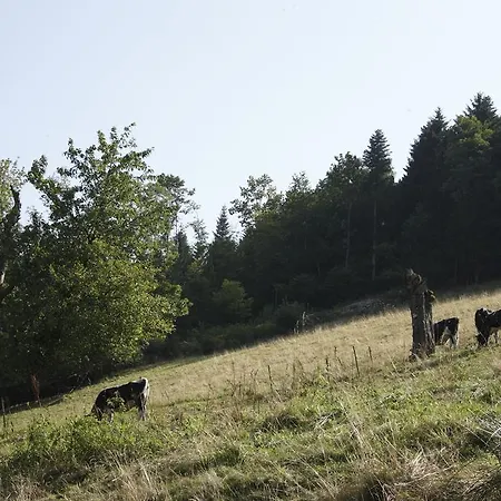 Le Bouton D'or Hotel