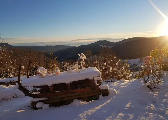 Le Bouton D'or Hotel Lapoutroie