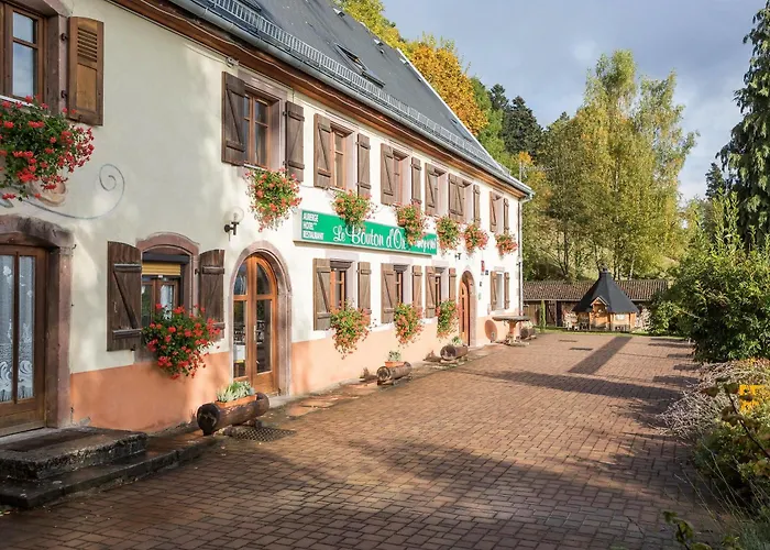 Hotel Le Bouton D'or