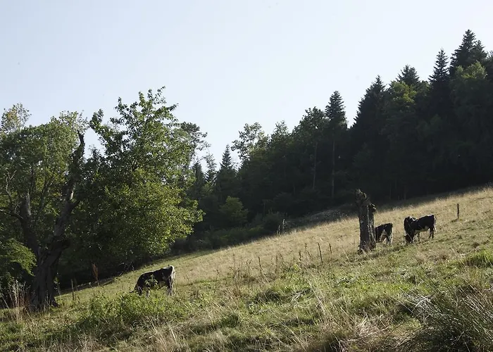 Le Bouton D'or Hotel