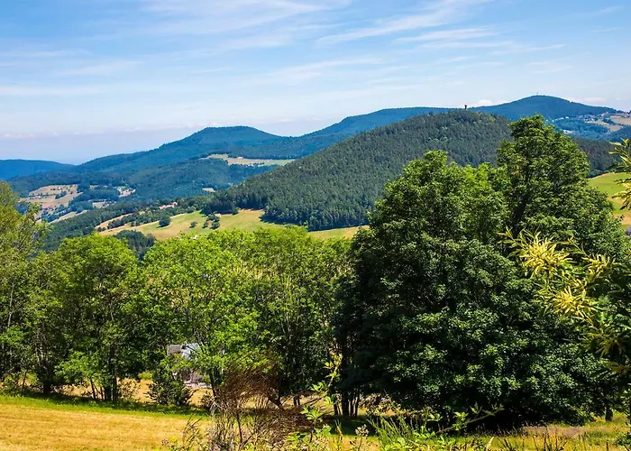 Le Bouton D'or Lapoutroie